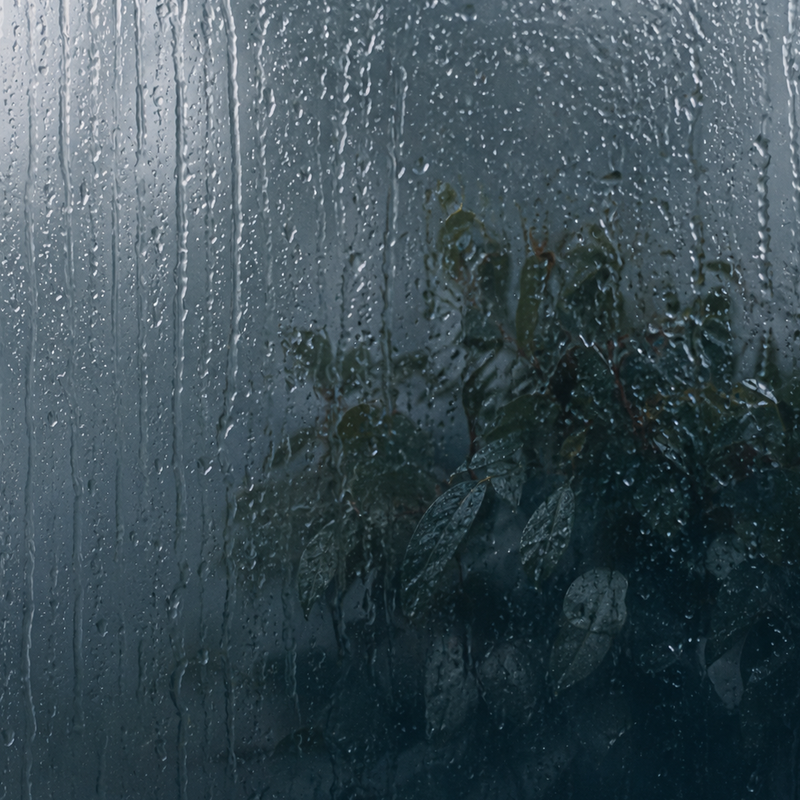 Fresh eucalyptus steam atmosphere inspired by deep breathing and morning clarity.